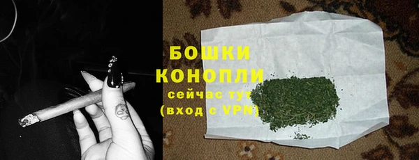 ешки Снежногорск