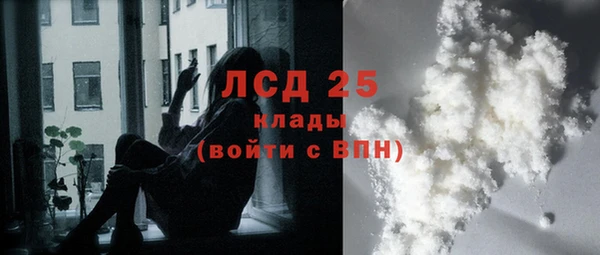 ешки Снежногорск