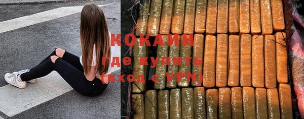 ешки Снежногорск