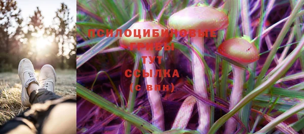 ешки Снежногорск