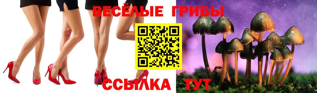 Галлюциногенные грибы Cubensis Москва
